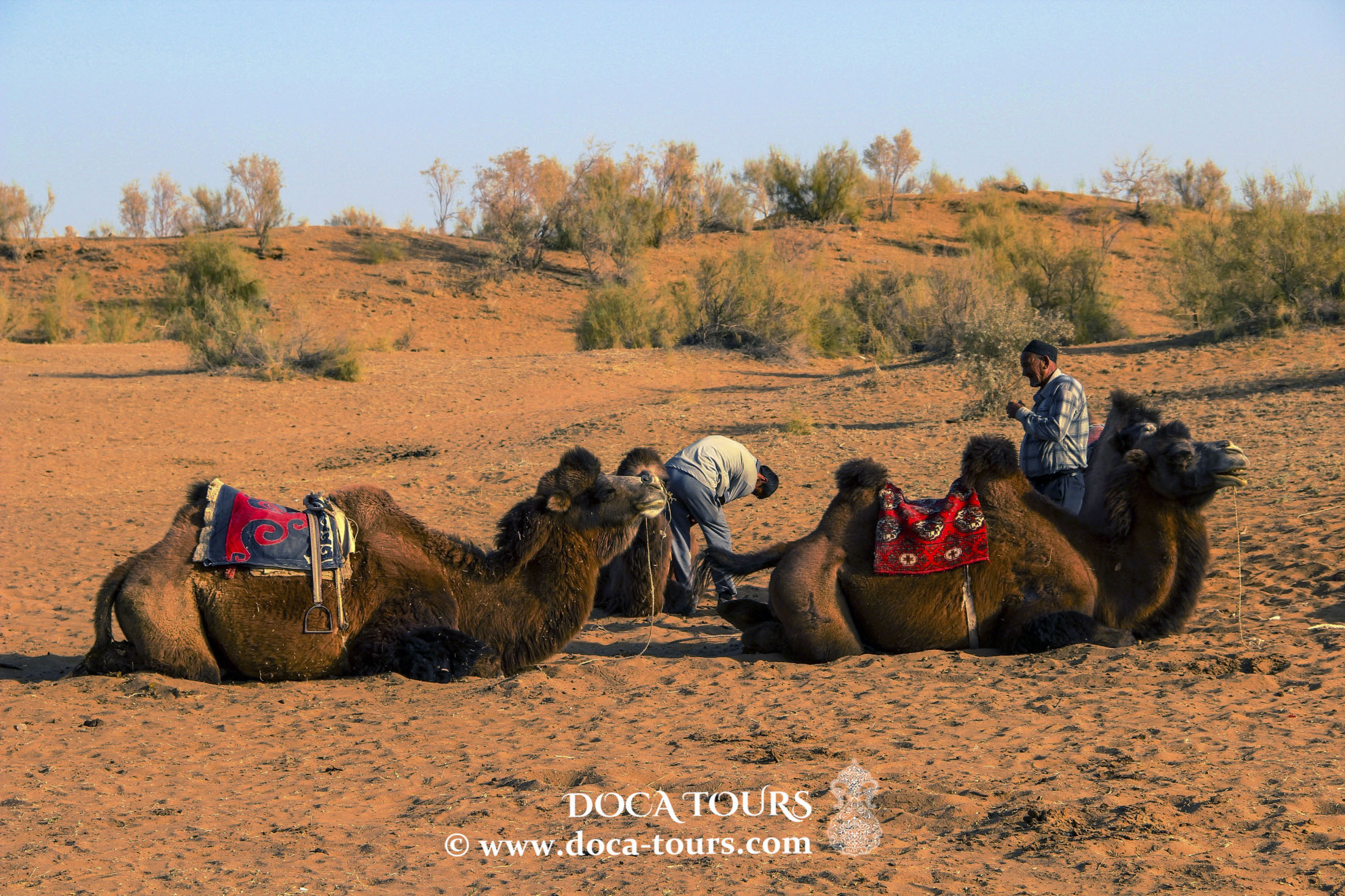 Oases of the Desert and Mountain